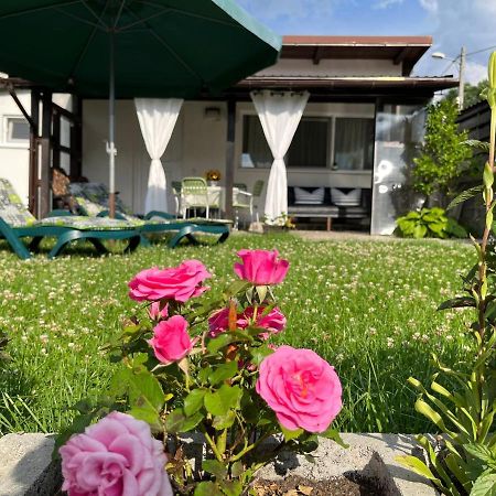 فيلا Charmante Petite Maison Transylvanie ساتْشيلي المظهر الخارجي الصورة