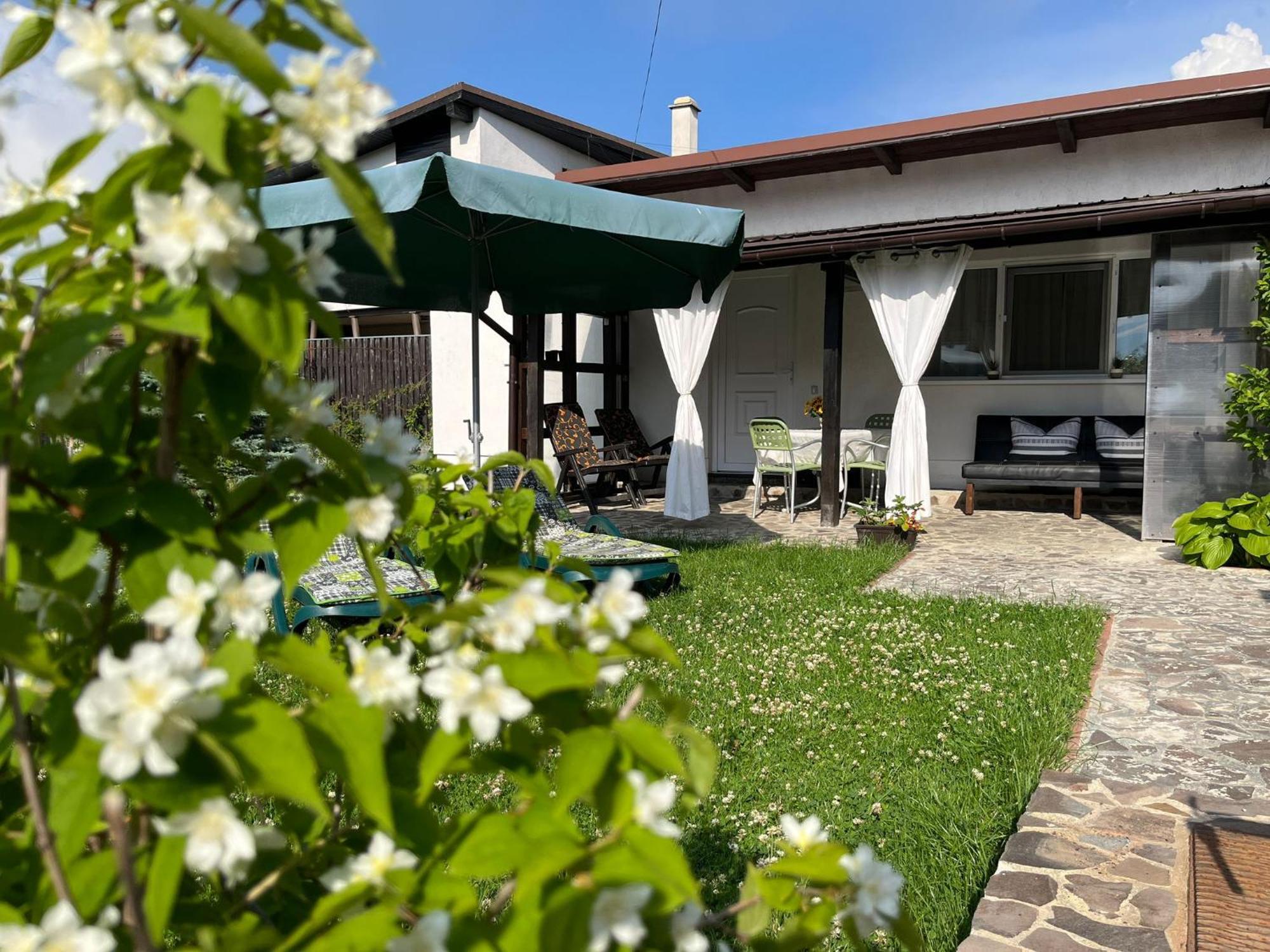 فيلا Charmante Petite Maison Transylvanie ساتْشيلي المظهر الخارجي الصورة