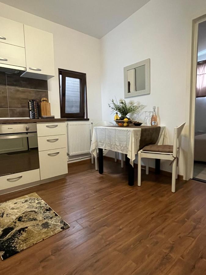 فيلا Charmante Petite Maison Transylvanie ساتْشيلي المظهر الخارجي الصورة