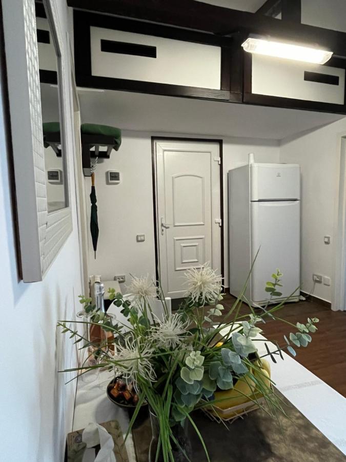 فيلا Charmante Petite Maison Transylvanie ساتْشيلي المظهر الخارجي الصورة