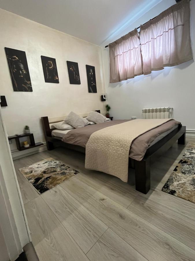 فيلا Charmante Petite Maison Transylvanie ساتْشيلي المظهر الخارجي الصورة